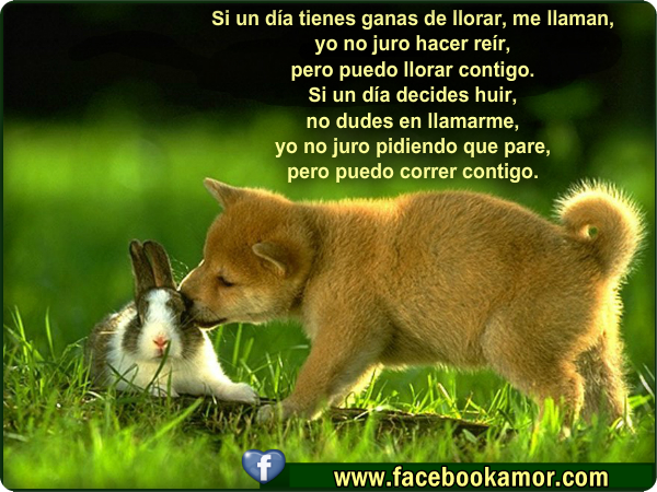 Bebes que lindos IMAGENES+CON+FRASES+BONITAS+PARA+TUS+COMENTARIOS+FACEBOOK+gratis