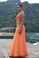 Sunaina, hot, navel, pics, bikini