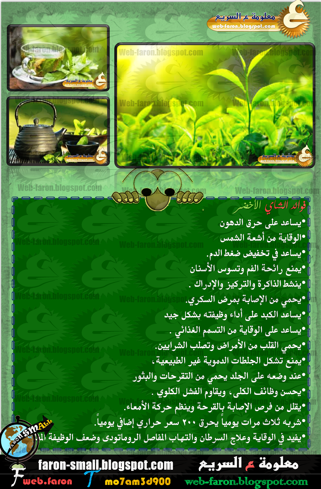 فوائد الشاي الاخضر وأضراره و نصائح لشربه ما يهمك سيدتي