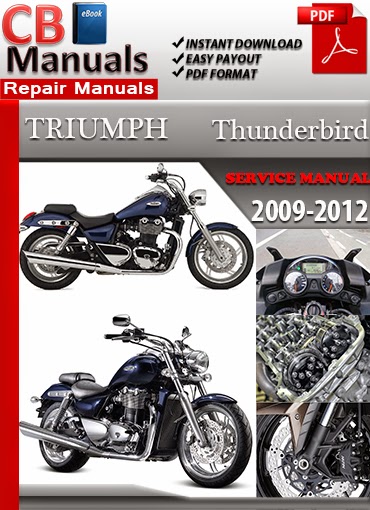 2000 triumph thunderbird 900 manual