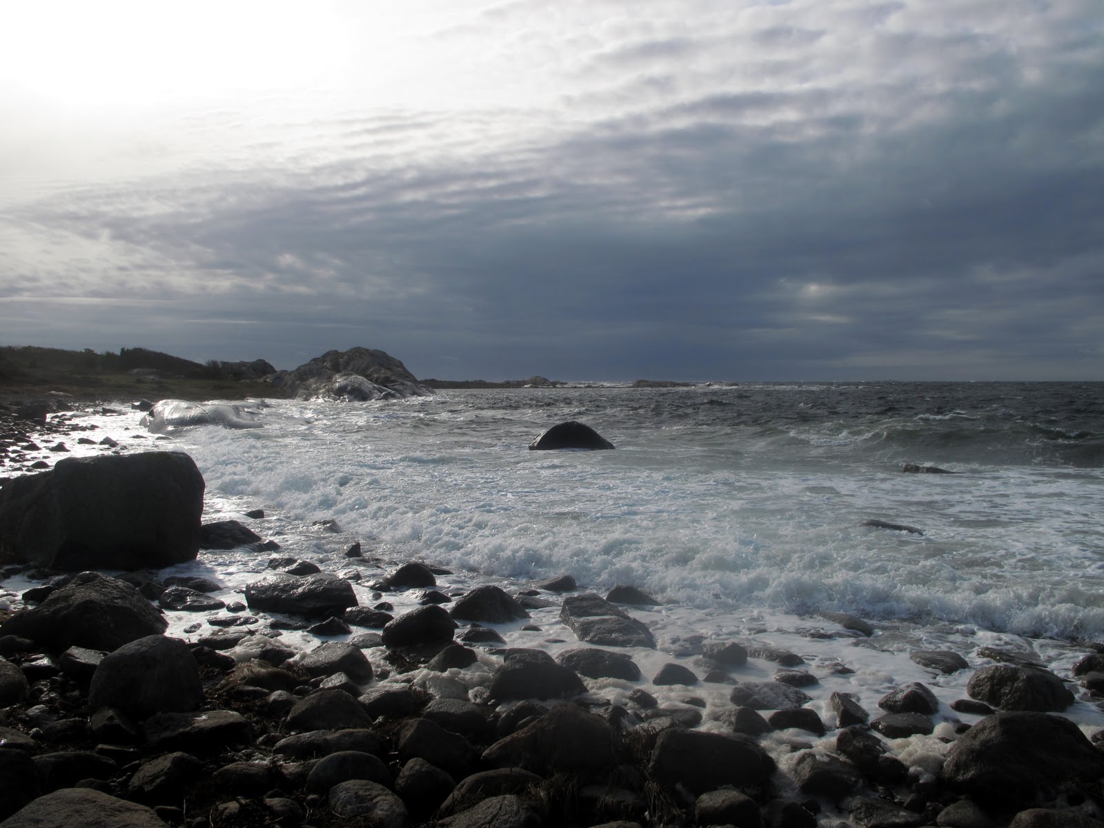 [Image: IMG_6540.JPG]