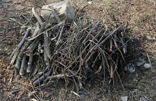 A goodly amount of kindling A goodly amount of kindling