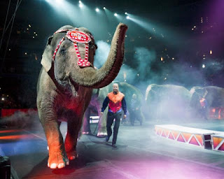 elephant+ringling+bros Ringling Bros. & Barnum & Bailey Circus Giveaway