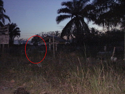 Hantu Bukit