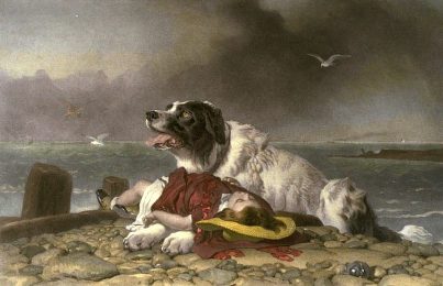 Famous World Animal Paintings Famous World Animal Paintings