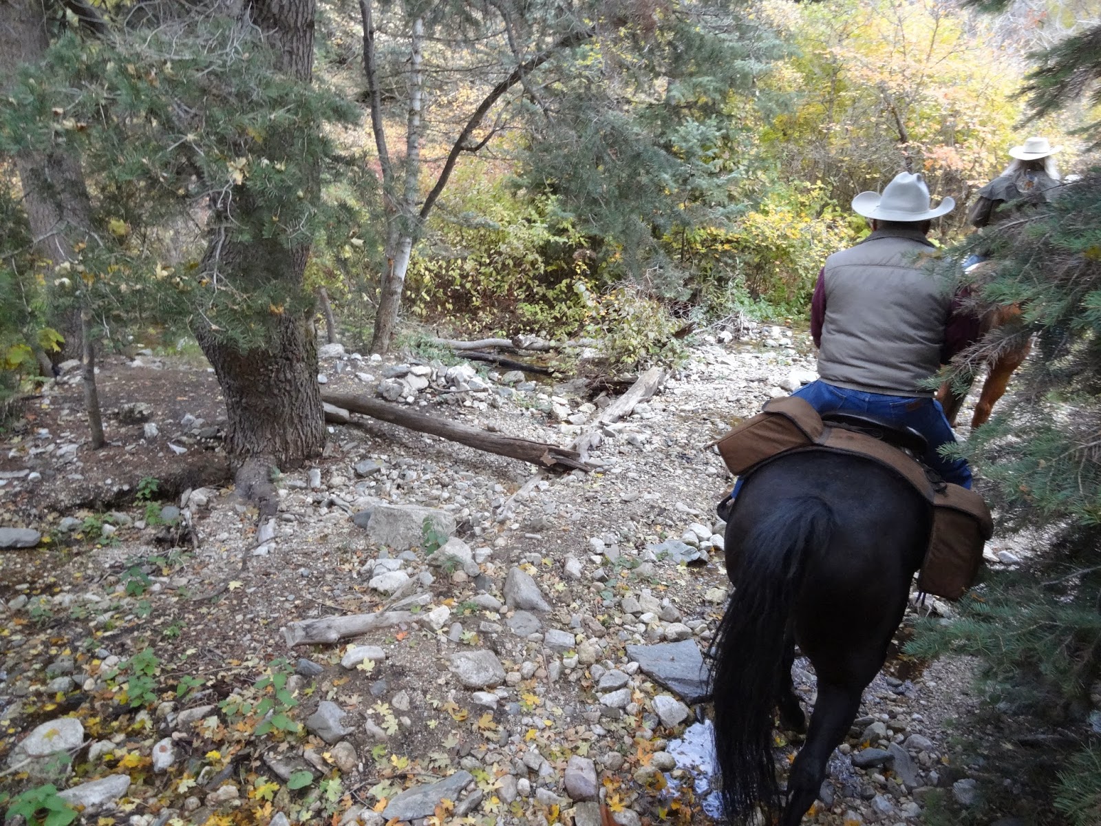 Dream Packer Trail Adventures Holbrook Canyon, Bountiful, Utah