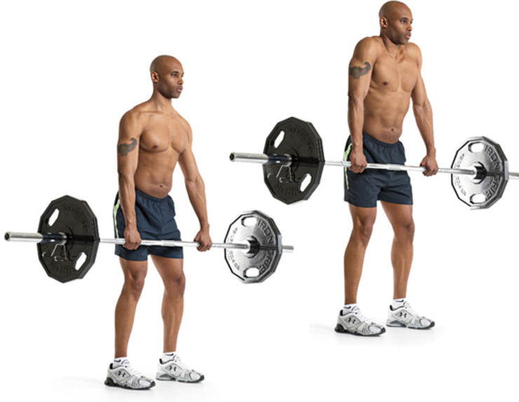 Body Building Craze Best Cobra Traps Exercises For Size