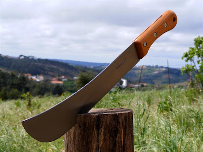 Agentes das FADM munidos de catanas causam terror em Chimoio Agentes das FADM munidos de catanas causam terror em Chimoio