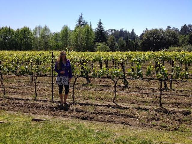 santa cruz wine tasting