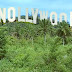 Indian bank to invest in Nollywood