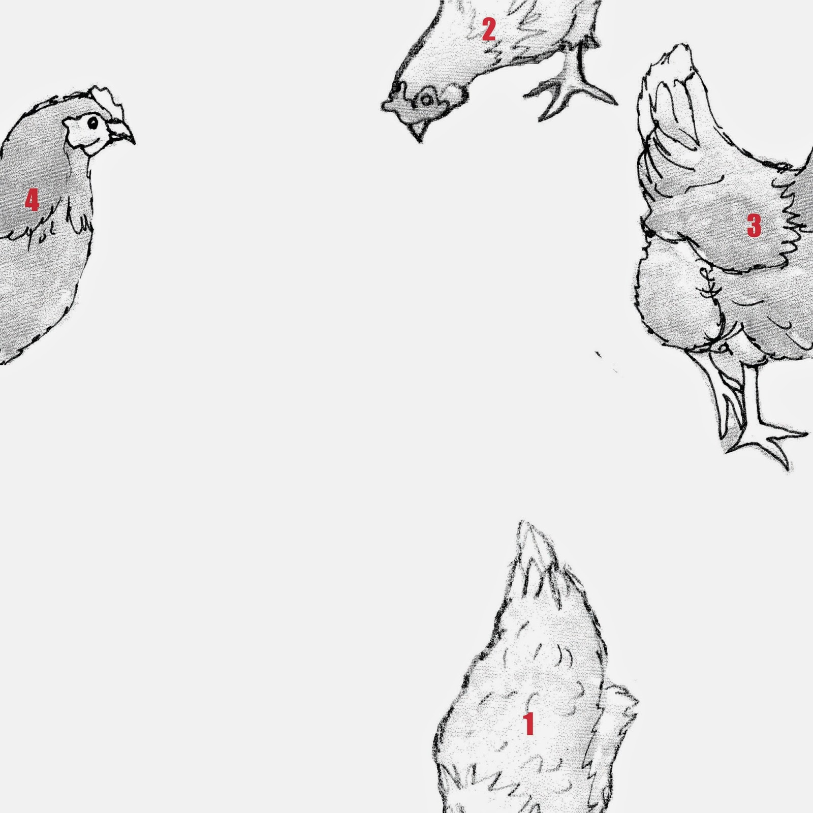 Step 2 - Hens cut into sections and placed along edges Step 2 - Hens cut into sections and placed along edges