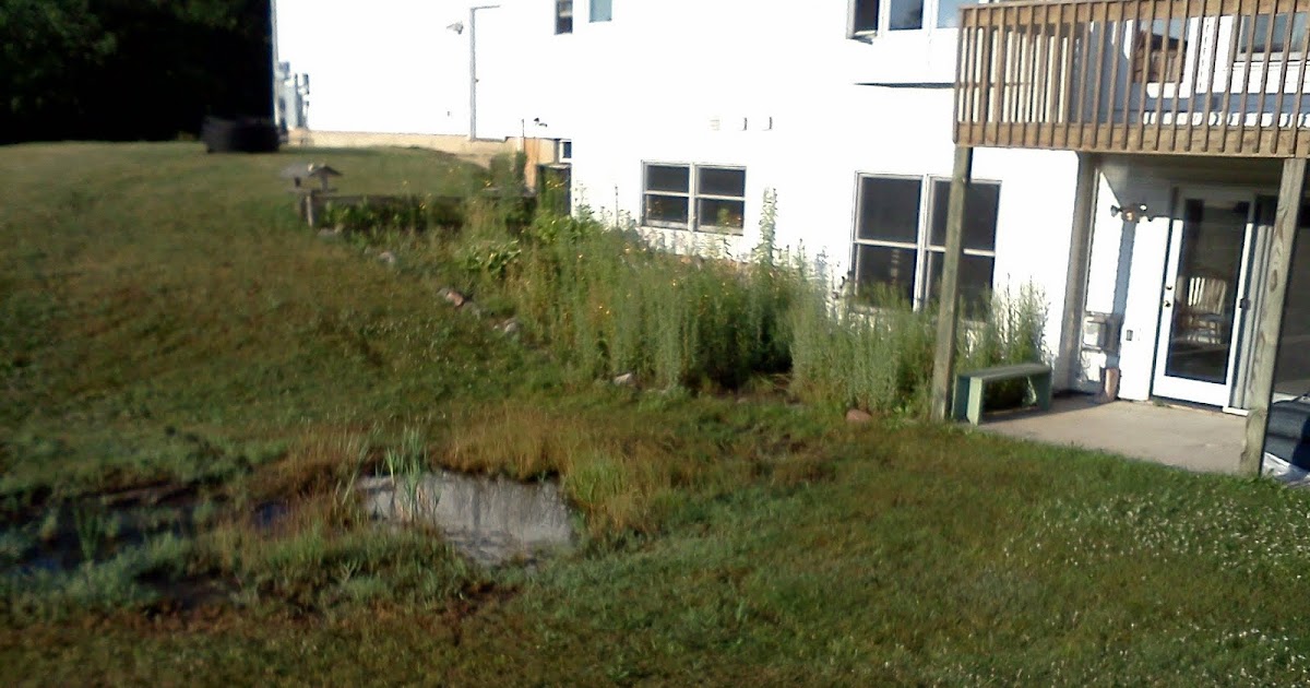 Landscape Labor Solutions Blog STANDING WATER IN BACKYARD ELIMINATED!