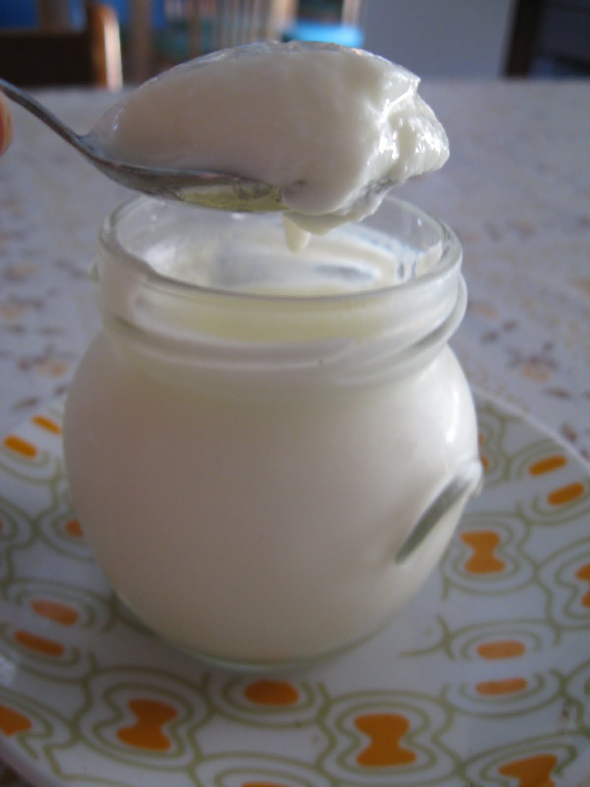Yogurt bianco dolce home made – Le Torte di Michy