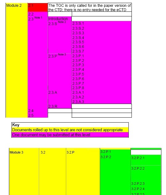 Apex Regulatory's Blog Document Granularity within the eCTD Structure