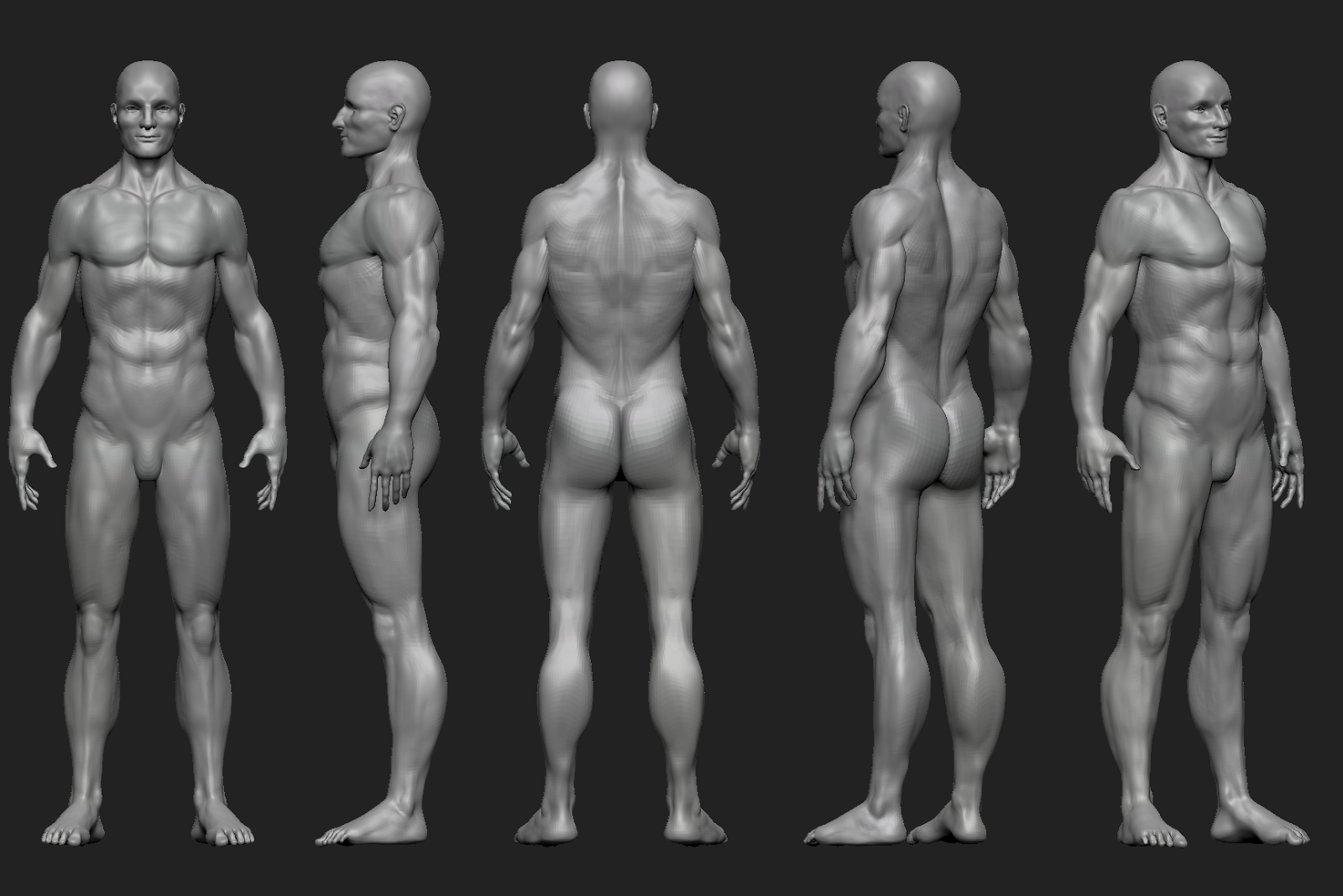 MaleAnatomy6.png