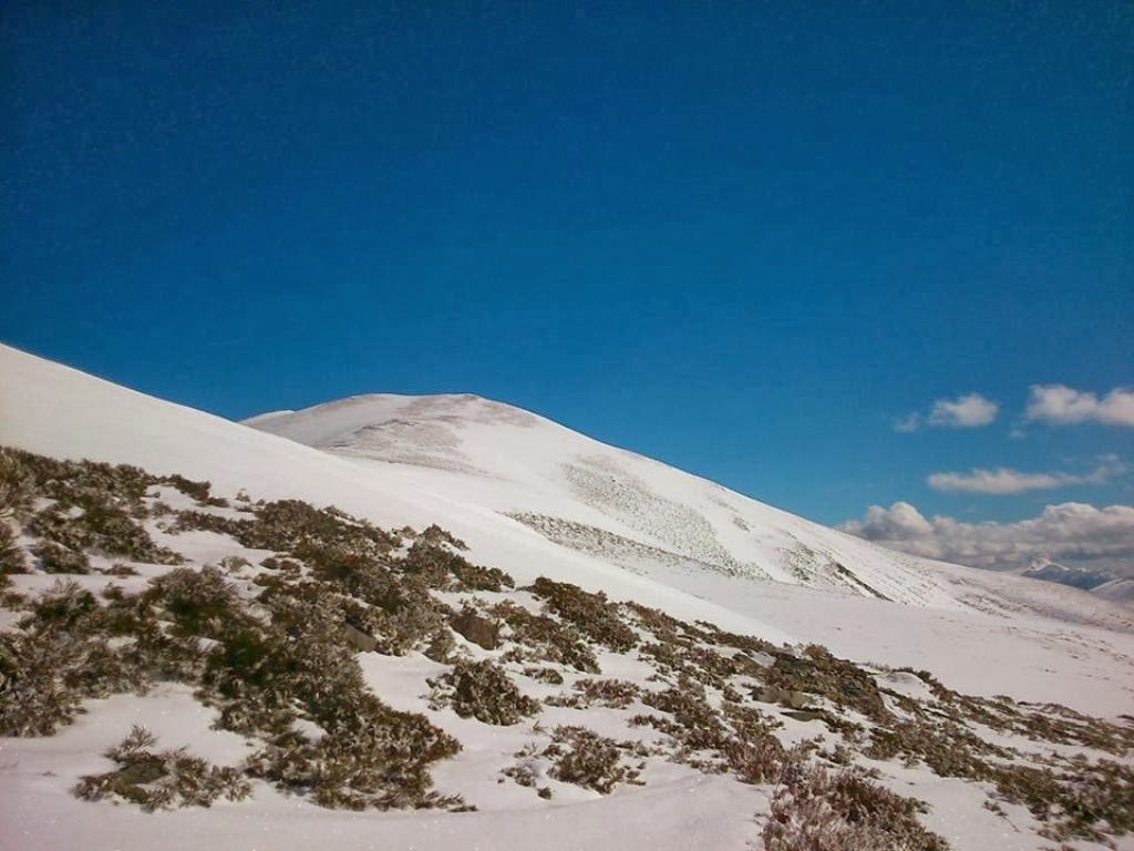 1957515_10203301686566661_754897732_n.jp