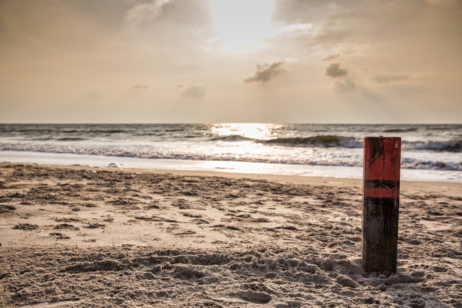 Hundeblog Genki Bulldog Hundeparadis Texel Mit Unvertraglichem