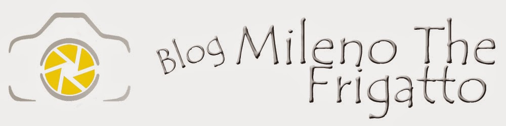 Blog Mileno The Frigatto