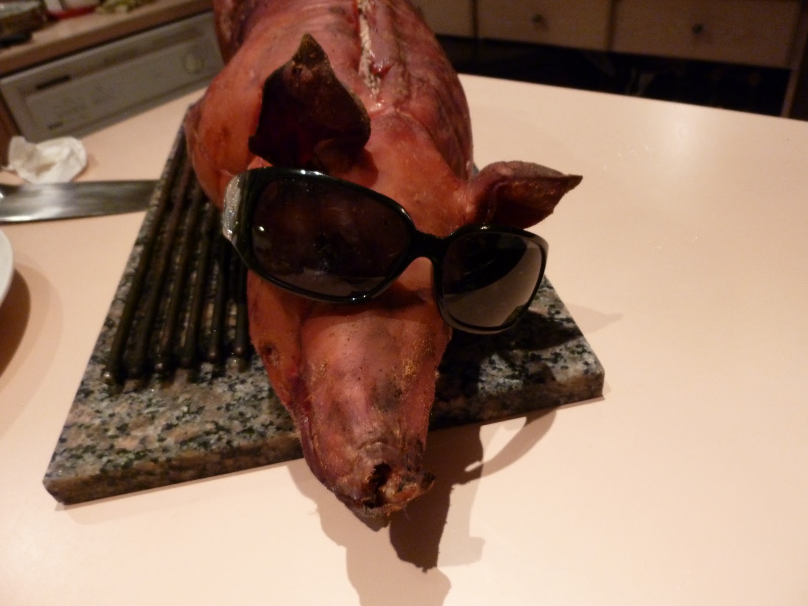 pig sunglasses