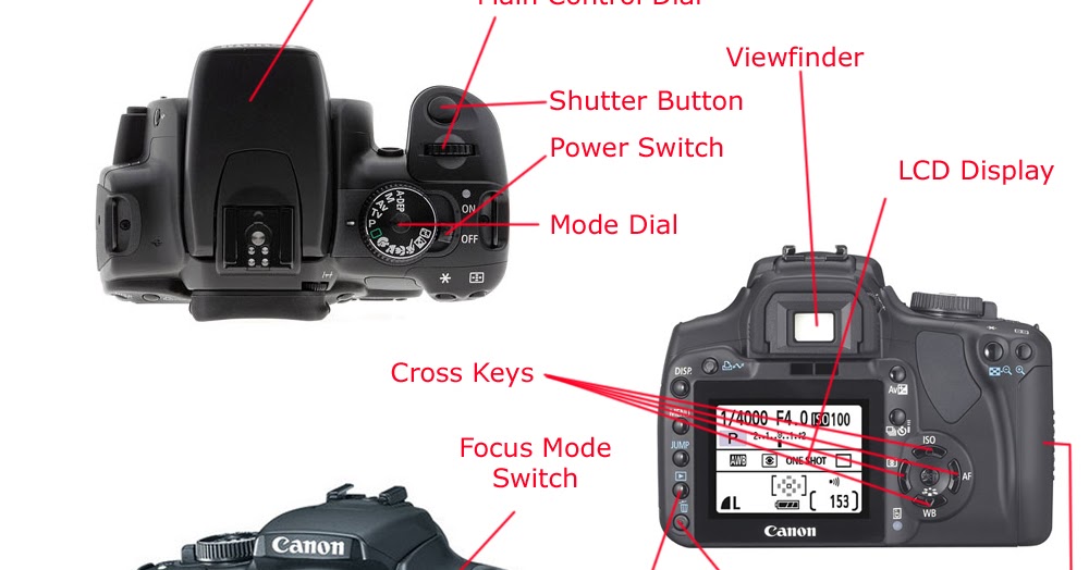 Sophie Elizabeth Lynch Parts & functions of Camera parts & controls