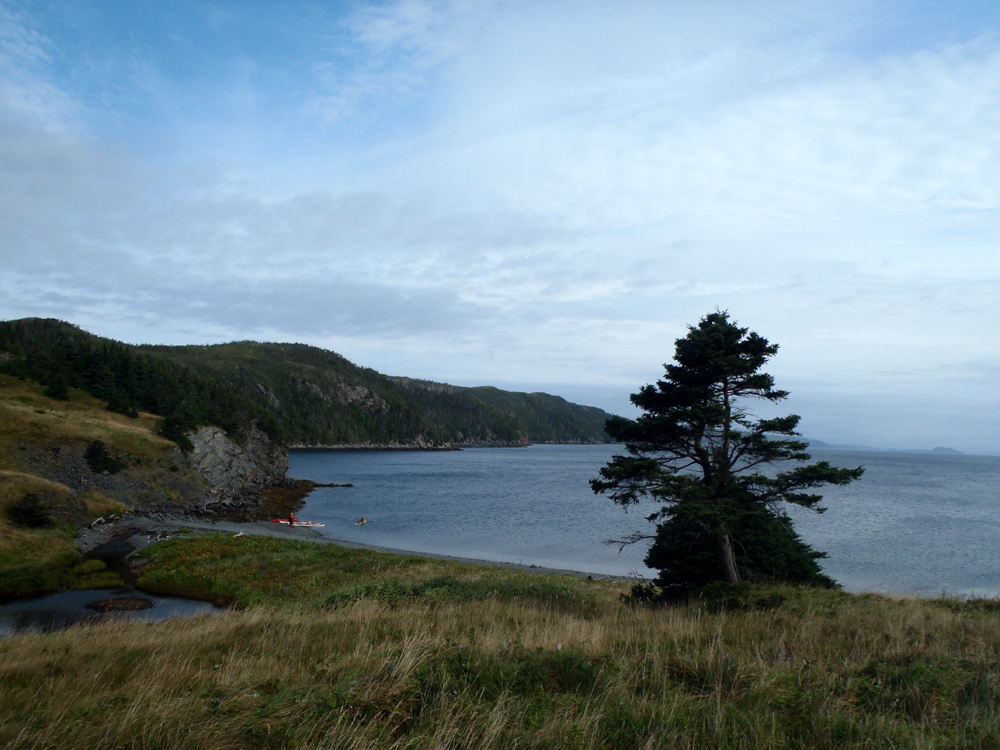 My Newfoundland Kayak Experience Placentia Bay 2015 A short paddle ends in St. Leonard's