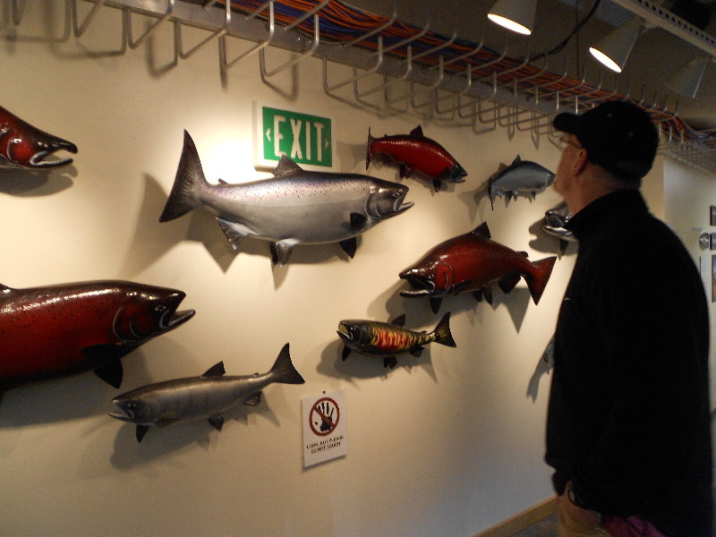 From Kansas to Kodiak... Marine Research Center Touch Tank