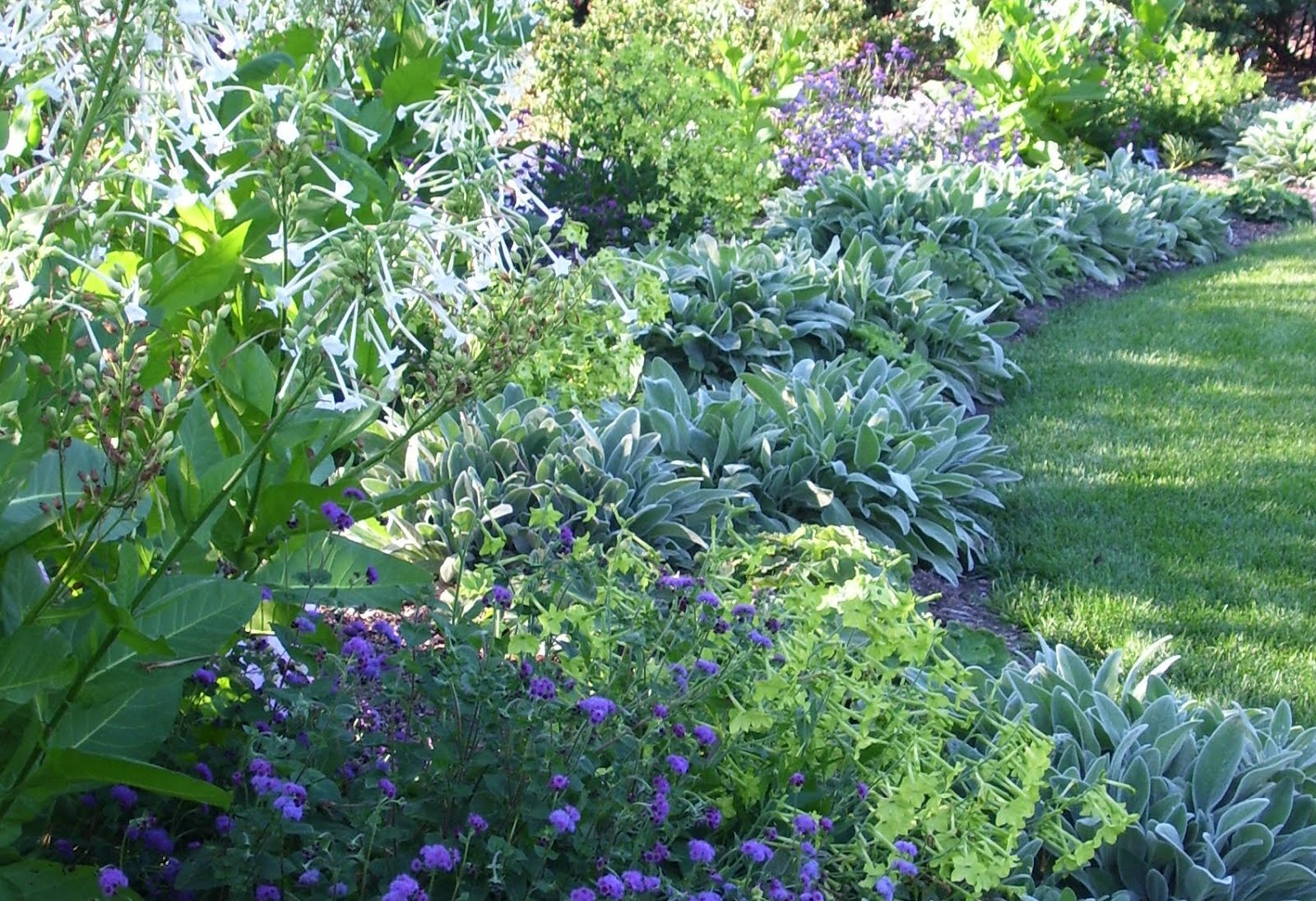 Talking to Plants Underplanting and Groundcovers Some Examples of