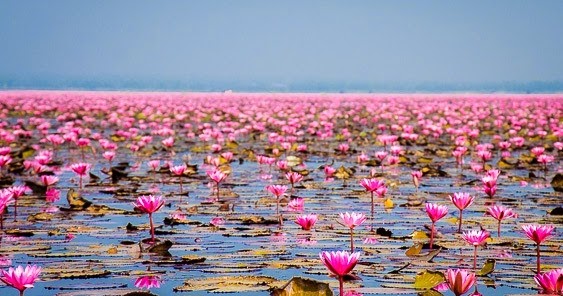 Waiting For 16 May 2014