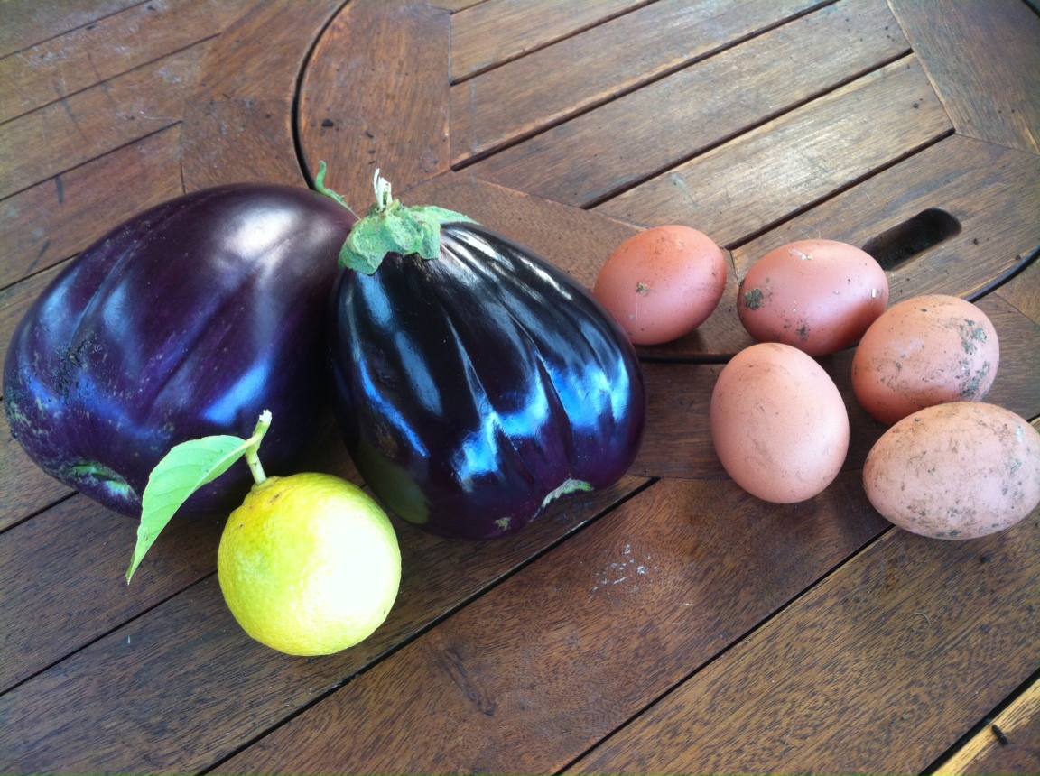 What to Plant JUNE Australian Temperate Climate