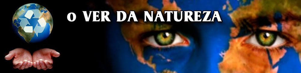 O Ver da Natureza