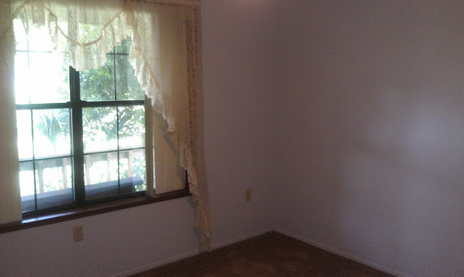 Some "before" pictures of the house..
