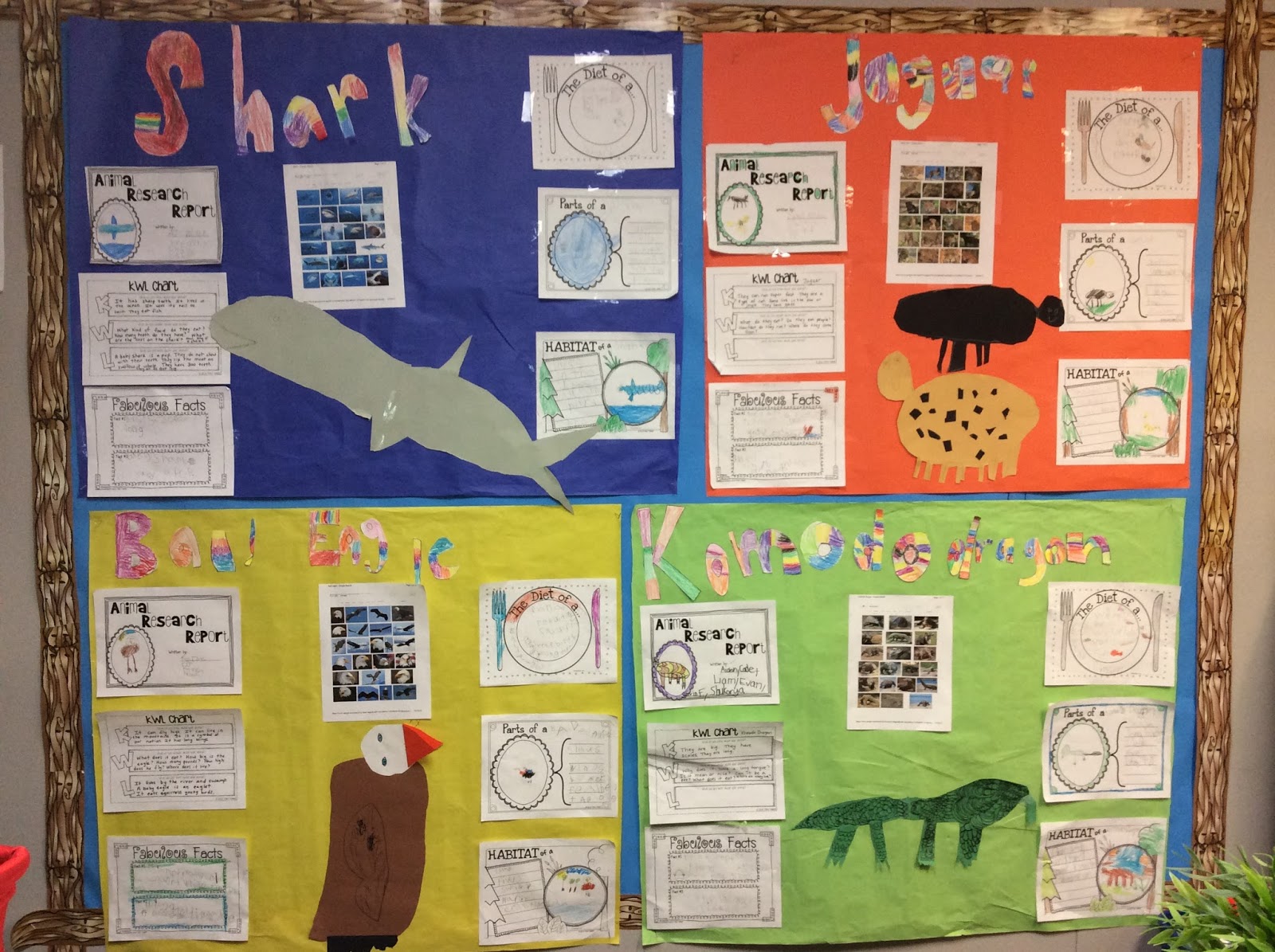 Research paper bulletin board ideas image