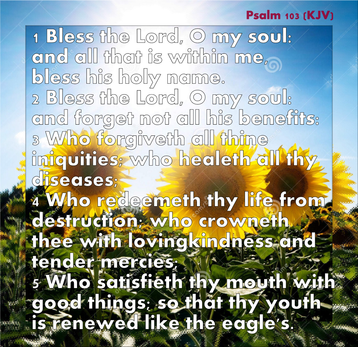 psalm 103 kjv