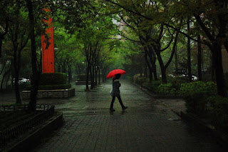 Rainy day in Seoul