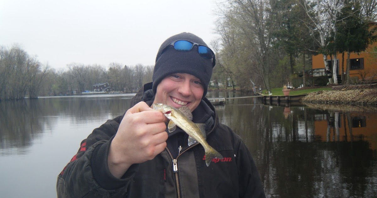 Wisconsin Fishing Reports Wolf River Walleyes Heading Home