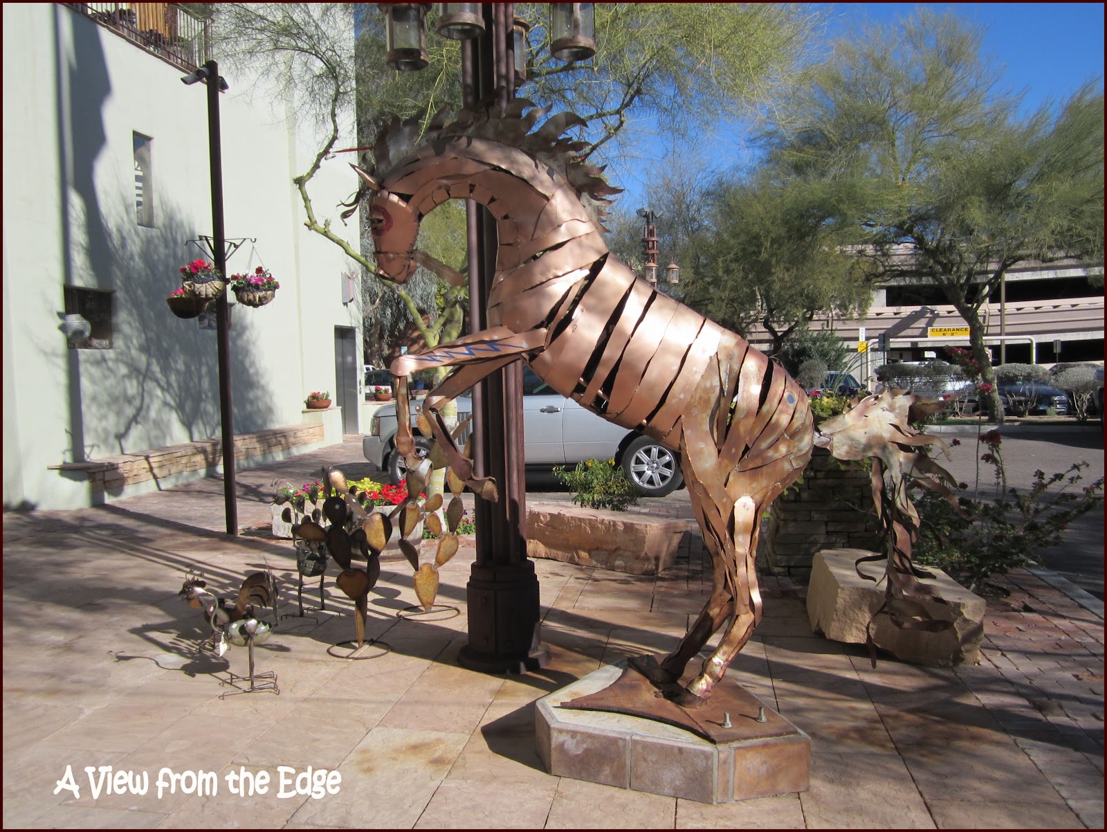 A View from the Edge Scouting Around Scottsdale