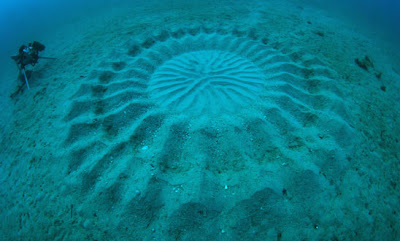 Foto Crop Circle Ditemukan Di Kedalaman 25 Meter Dasar Laut [ www.BlogApaAja.com ]