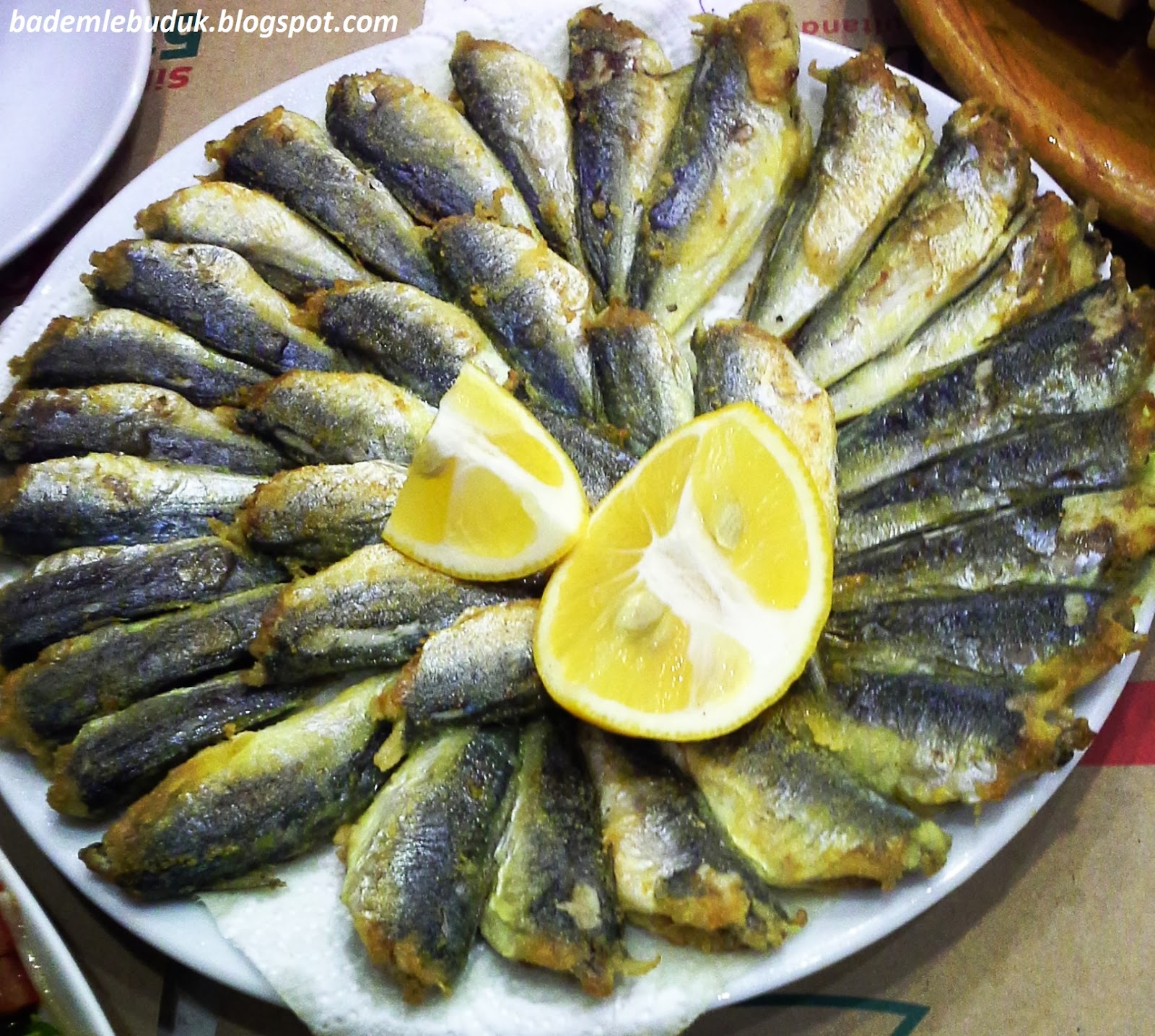 surmene balik evi fatih bademle buduk anne yasam ve kadin blogu