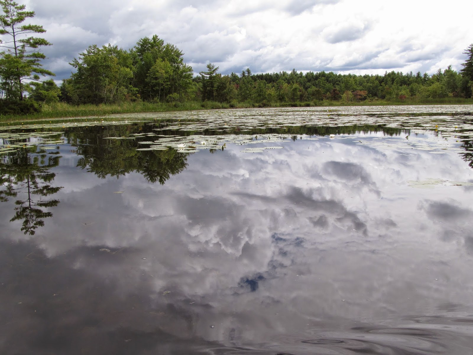 Recreational Kayaking in Maine Lake Arrowhead Limerick/Waterboro, ME