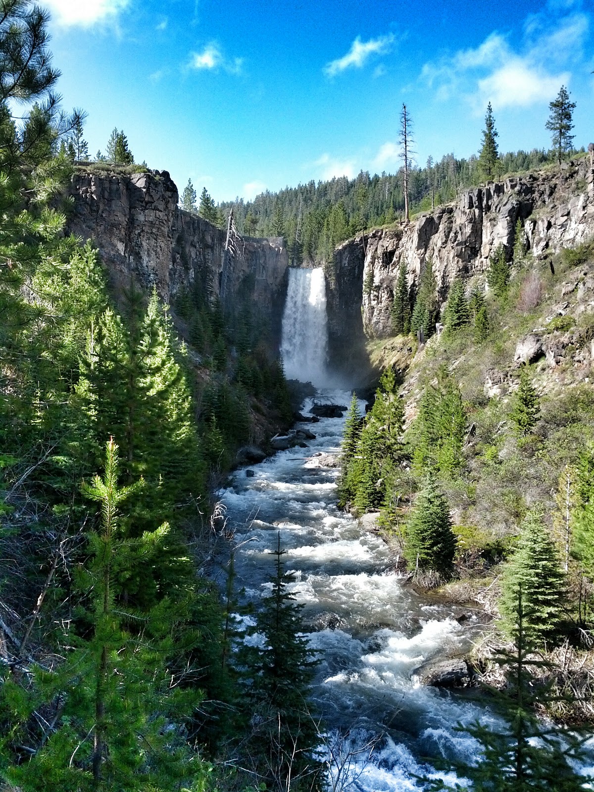 Richard Bolt Runs Spring Training Camp Bend, Oregon
