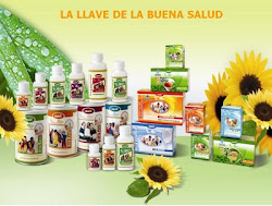 BLOG SOLO PRODUCTOS