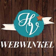 (Web)winkel HobbyVision