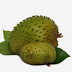 Manfaat buah sirsak untuk bayi thumbnail
