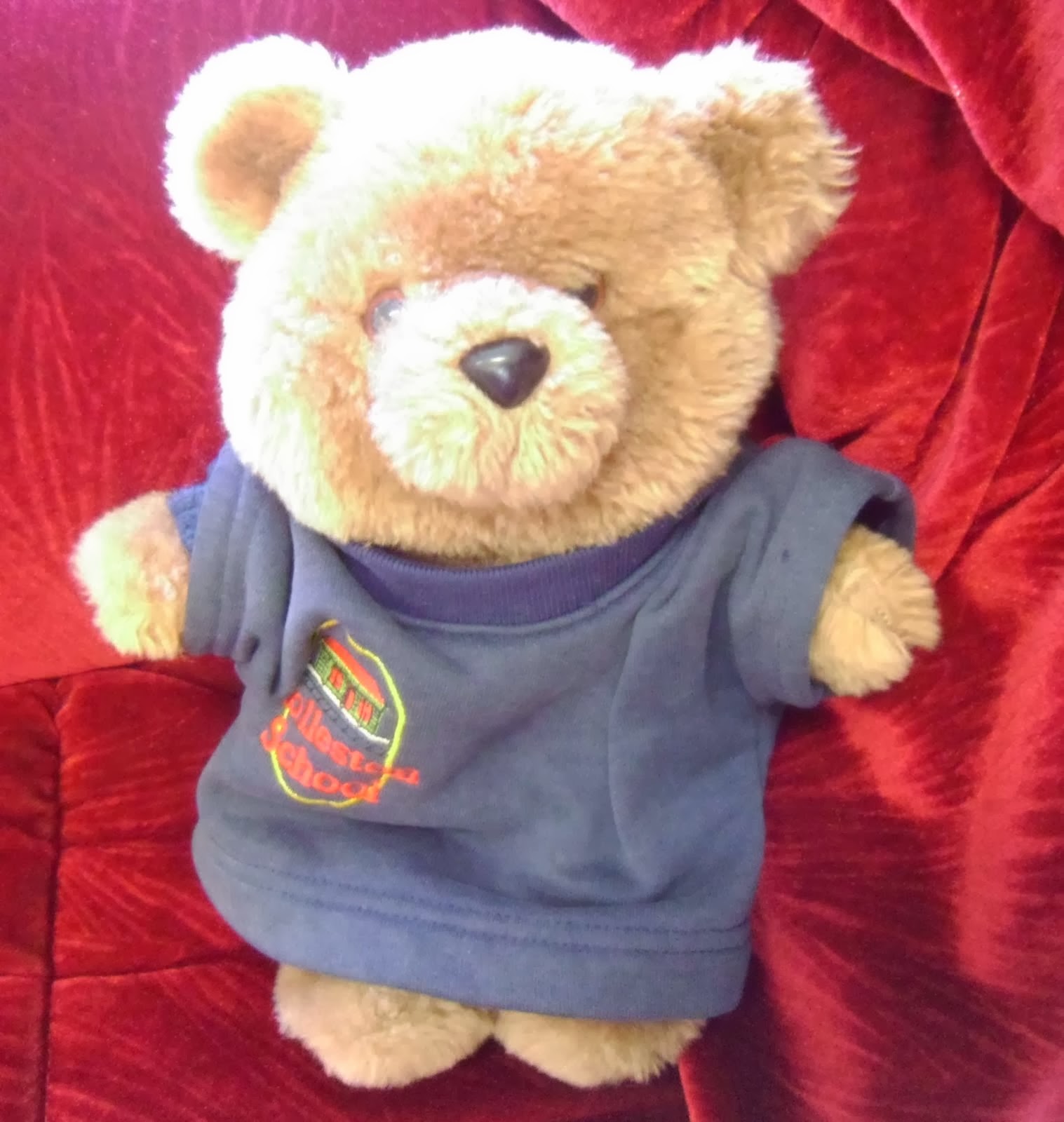Mr Ted Bear