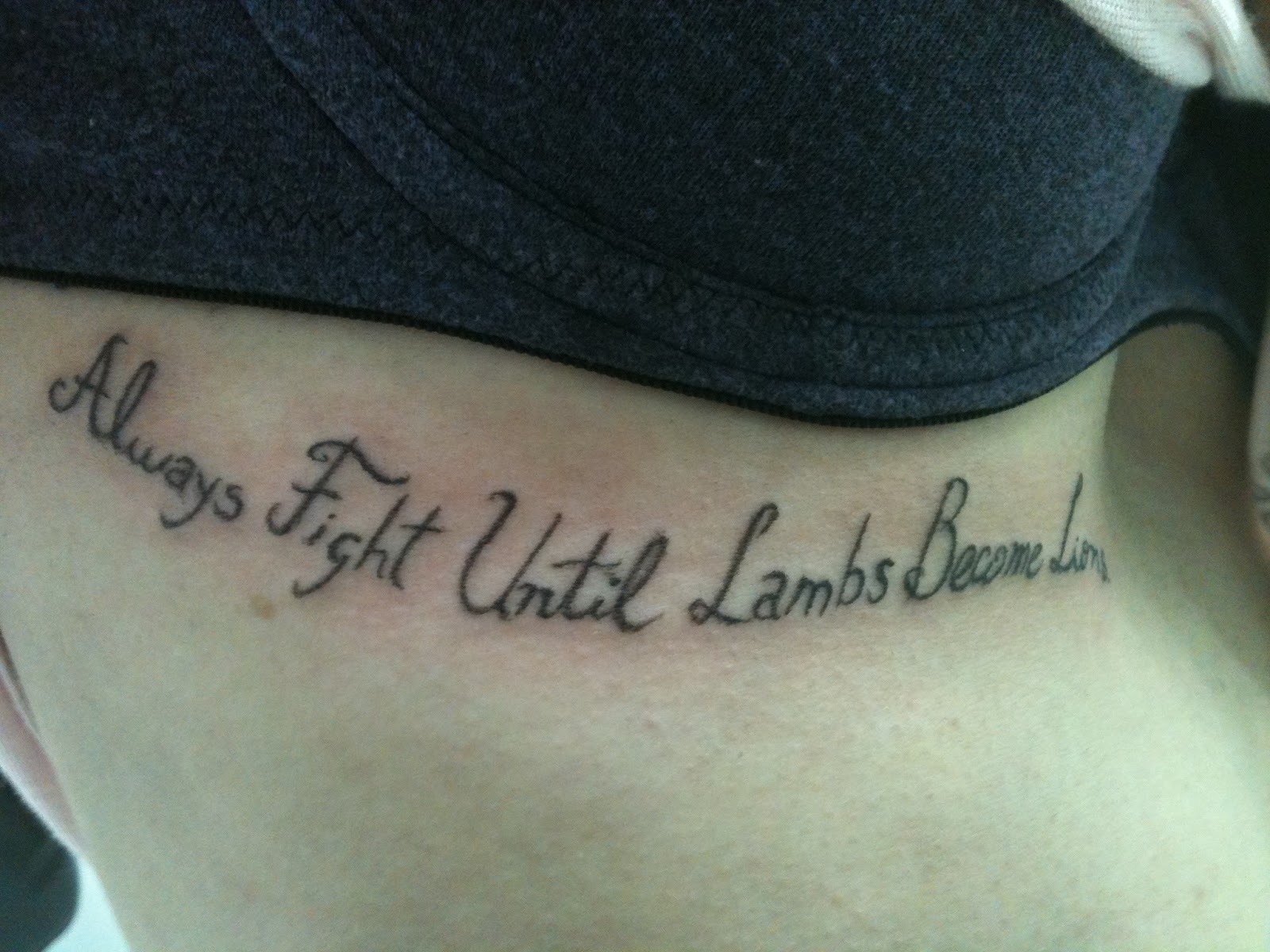 Lute E Lute Novamente Até Cordeiros Virarem Leões EDUCA