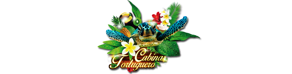 Cabinas tortuguero