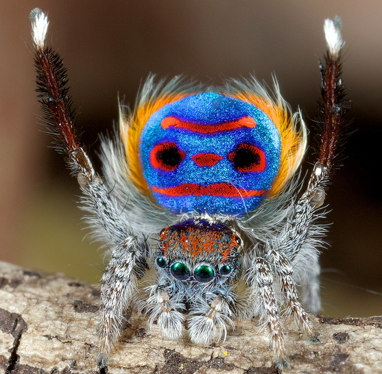 Seattle Opera Blog Top 10 Most Recognizable Opera Pieces Used In Film