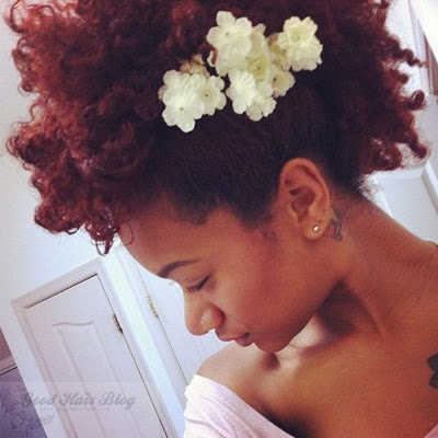 Twist Out Fro Hawk Natural Hair Style Curlynikki Natural