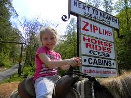 Horseback rides for kids