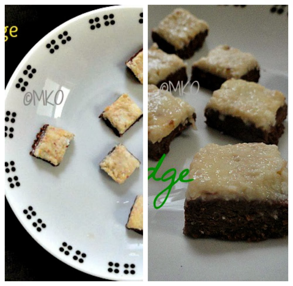 Cocoa and Coconut fudge